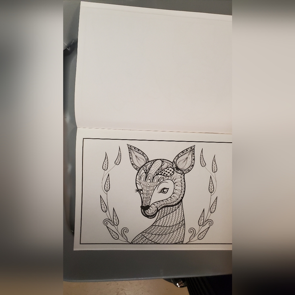 **FREE With Any Purchase!**Adult Colouring Book - Picture 3 of 3